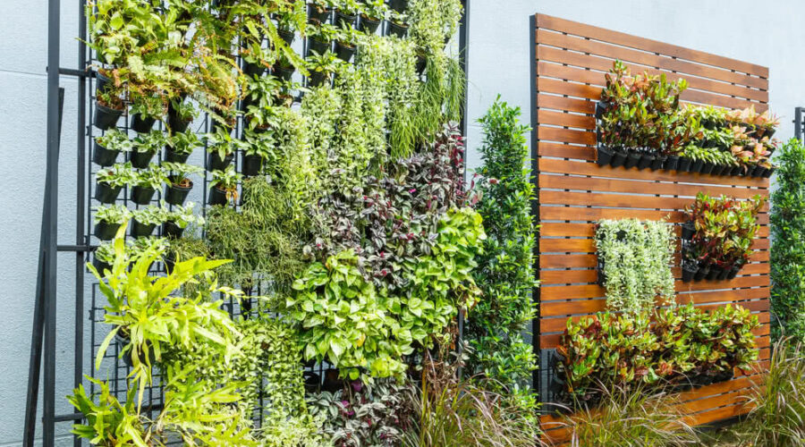 Jardines Verticales Inteligentes: Cómo integrar la naturaleza en espacios pequeños